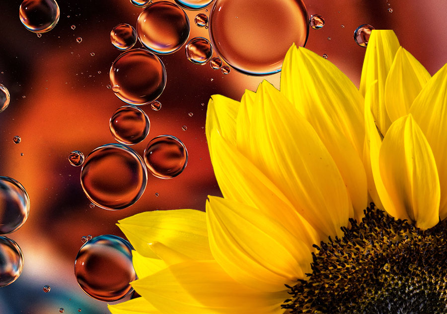 Aceite de girasol